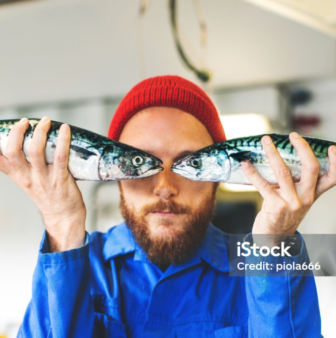 Estivo Travel website portaal en koppelingen